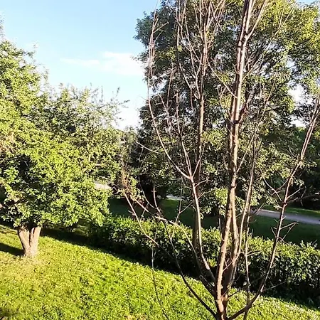 Masurian